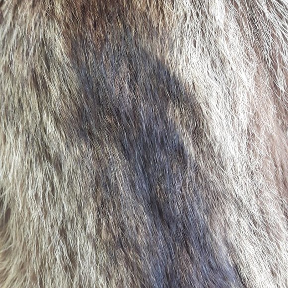 Genuine Raccoon Real Fur Throw Pillow - Picture 4 of 6